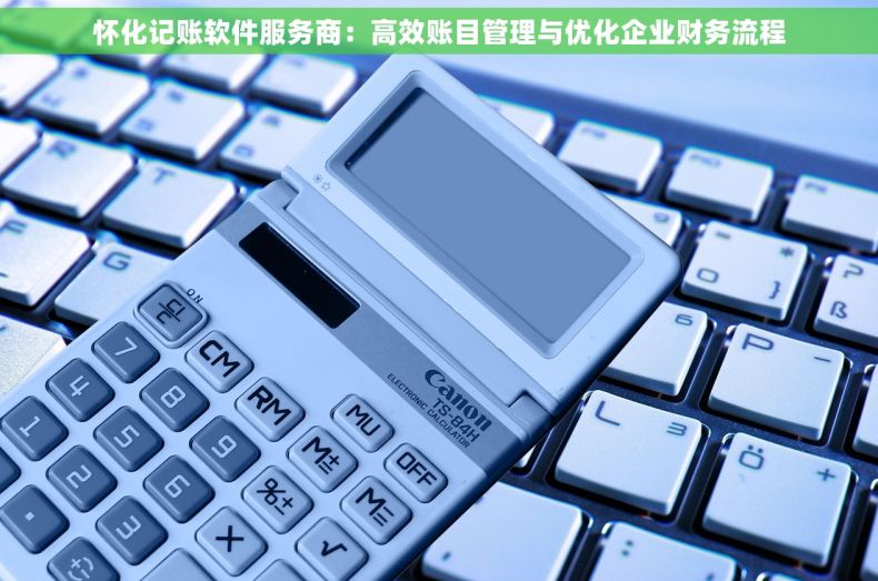 怀化记账软件服务商：高效账目管理与优化企业财务流程