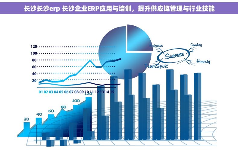 长沙长沙erp 长沙企业ERP应用与培训，提升供应链管理与行业技能