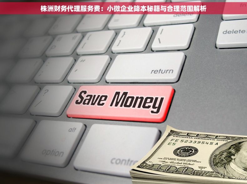 株洲财务代理服务费：小微企业降本秘籍与合理范围解析