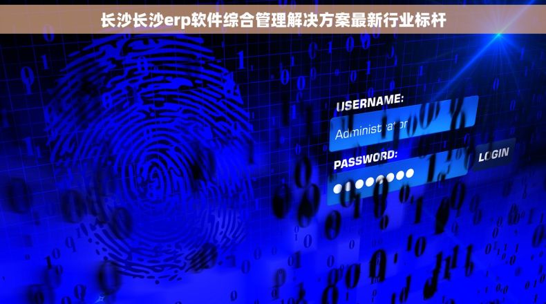 长沙长沙erp软件综合管理解决方案最新行业标杆