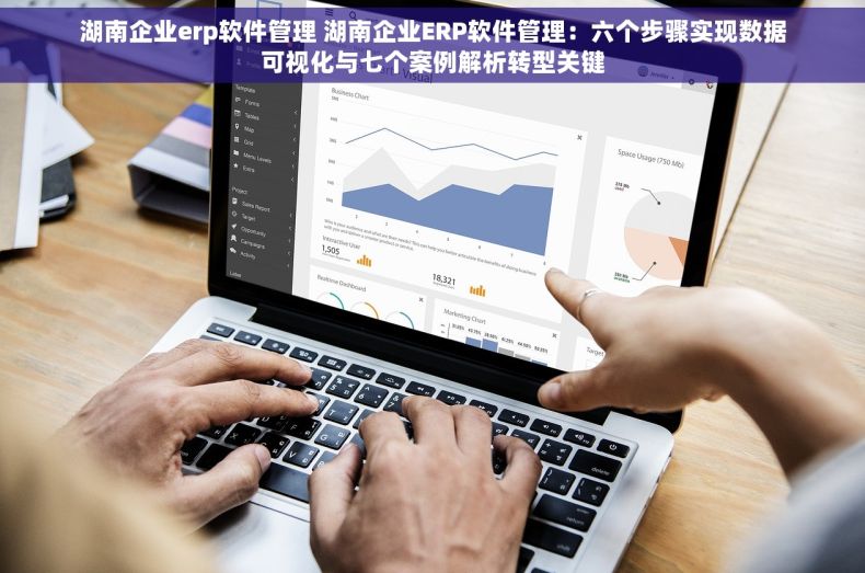 湖南企业erp软件管理 湖南企业ERP软件管理：六个步骤实现数据可视化与七个案例解析转型关键