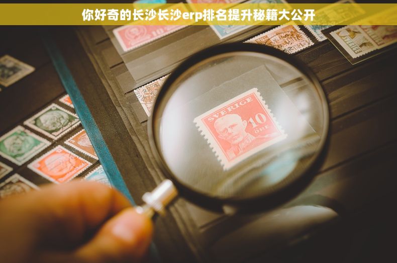 你好奇的长沙长沙erp排名提升秘籍大公开