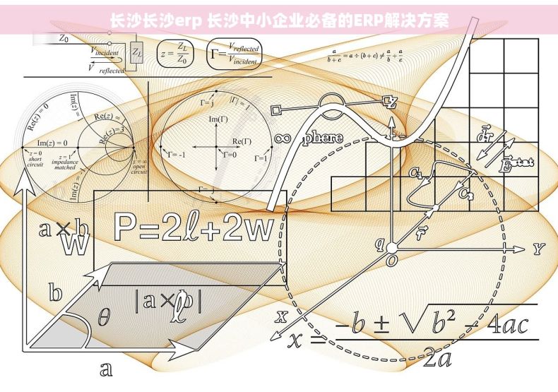 长沙长沙erp 长沙中小企业必备的ERP解决方案