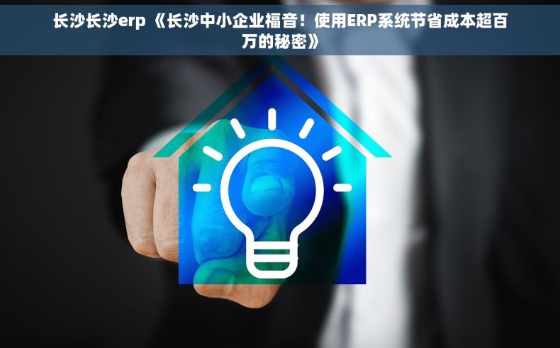 长沙长沙erp 《长沙中小企业福音！使用ERP系统节省成本超百万的秘密》