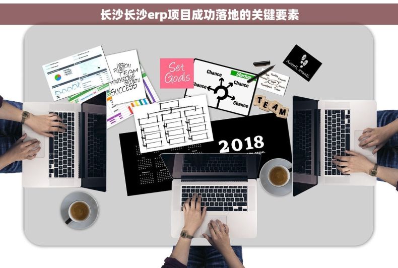 长沙长沙erp项目成功落地的关键要素