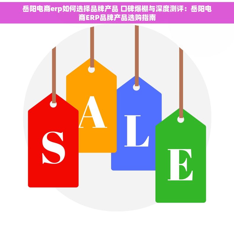 岳阳电商erp如何选择品牌产品 口碑爆棚与深度测评：岳阳电商ERP品牌产品选购指南