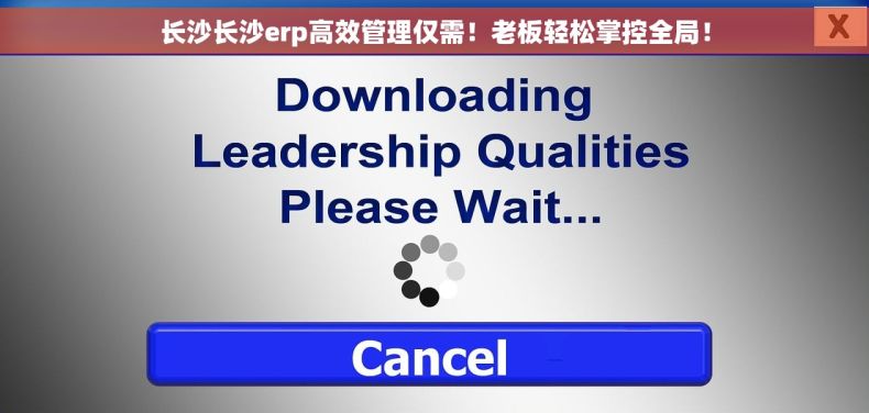 长沙长沙erp高效管理仅需！老板轻松掌控全局！