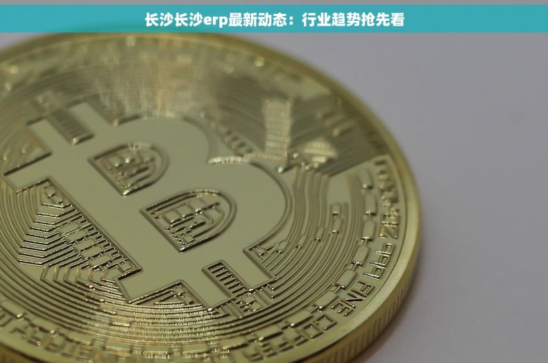 长沙长沙erp最新动态：行业趋势抢先看