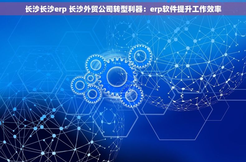 长沙长沙erp 长沙外贸公司转型利器：erp软件提升工作效率