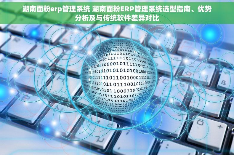 湖南面粉erp管理系统 湖南面粉ERP管理系统选型指南、优势分析及与传统软件差异对比