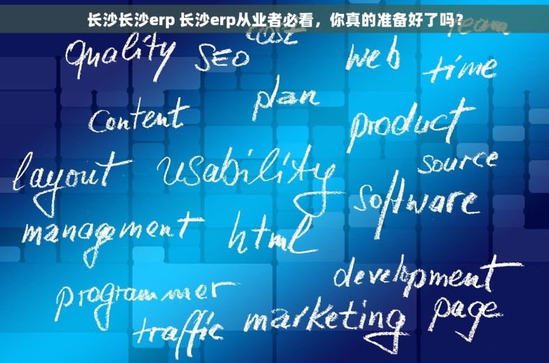 长沙长沙erp 长沙erp从业者必看，你真的准备好了吗？