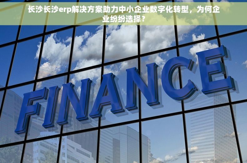 长沙长沙erp解决方案助力中小企业数字化转型，为何企业纷纷选择？