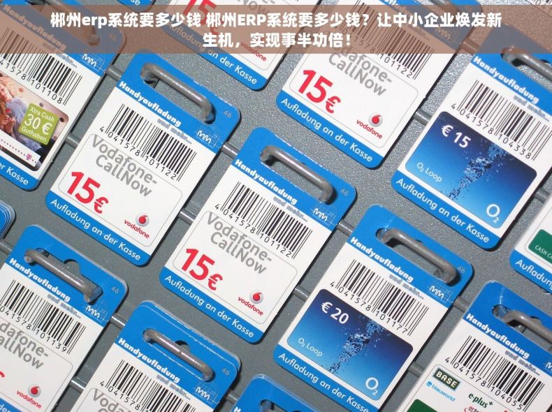 郴州erp系统要多少钱 郴州ERP系统要多少钱？让中小企业焕发新生机，实现事半功倍！