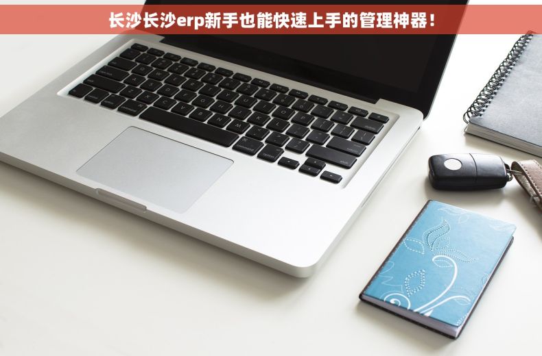 长沙长沙erp新手也能快速上手的管理神器！