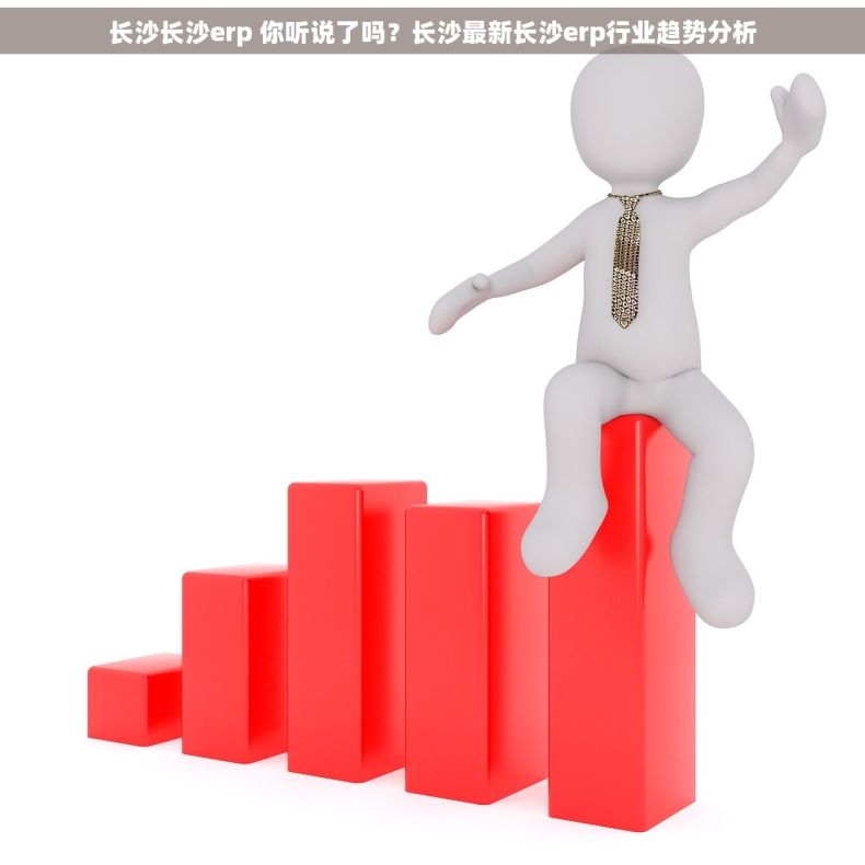 长沙长沙erp 你听说了吗？长沙最新长沙erp行业趋势分析