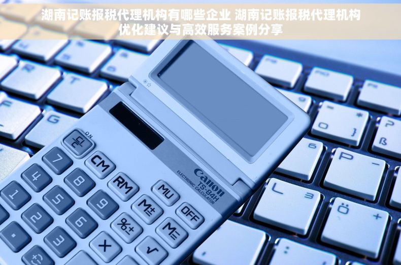 湖南记账报税代理机构有哪些企业 湖南记账报税代理机构优化建议与高效服务案例分享