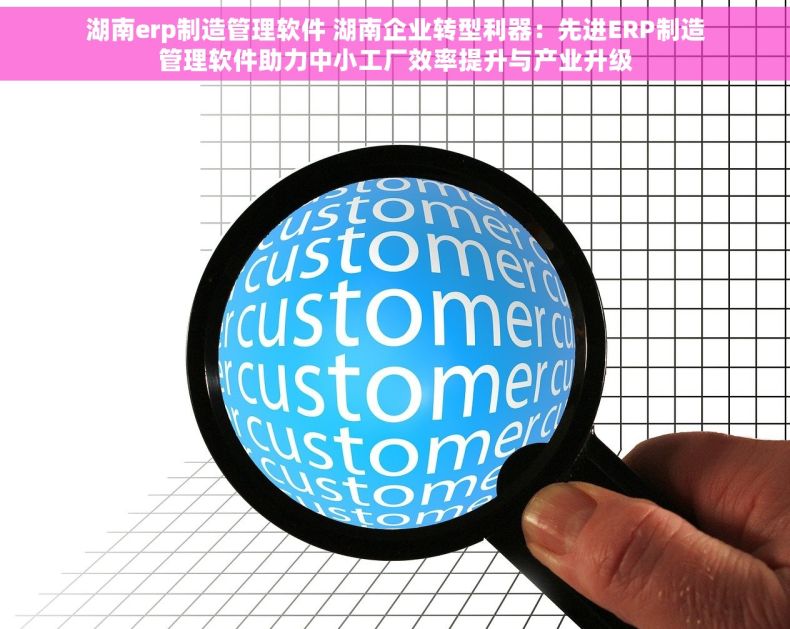 湖南erp制造管理软件 湖南企业转型利器：先进ERP制造管理软件助力中小工厂效率提升与产业升级