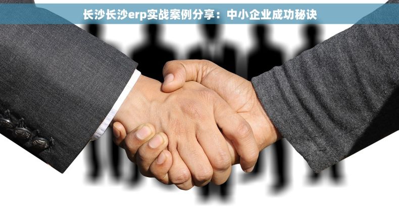 长沙长沙erp实战案例分享：中小企业成功秘诀