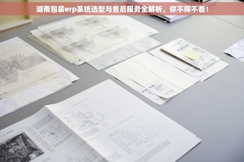 湖南包装erp系统选型与售后服务全解析，你不得不看！