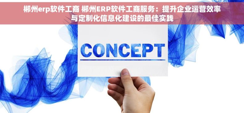 郴州erp软件工商 郴州ERP软件工商服务：提升企业运营效率与定制化信息化建设的最佳实践