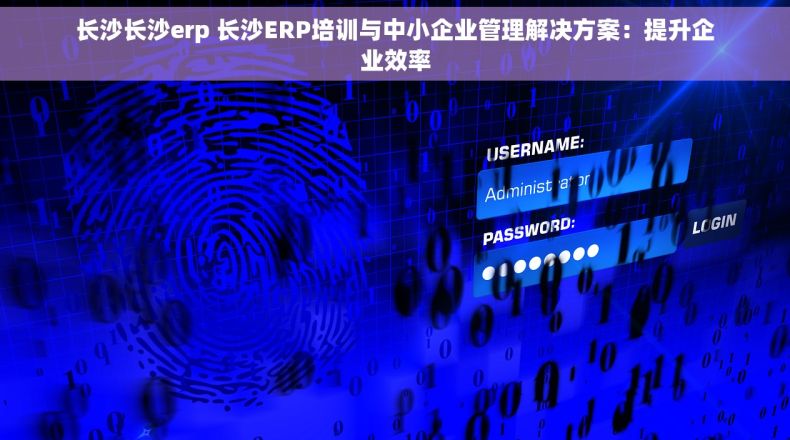 长沙长沙erp 长沙ERP培训与中小企业管理解决方案：提升企业效率