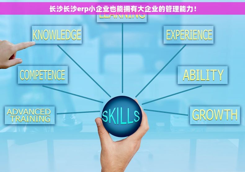 长沙长沙erp小企业也能拥有大企业的管理能力！