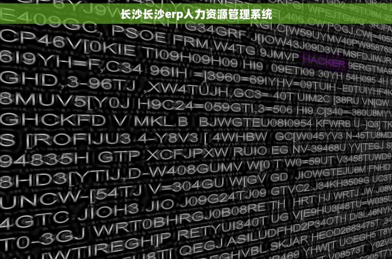 长沙长沙erp人力资源管理系统