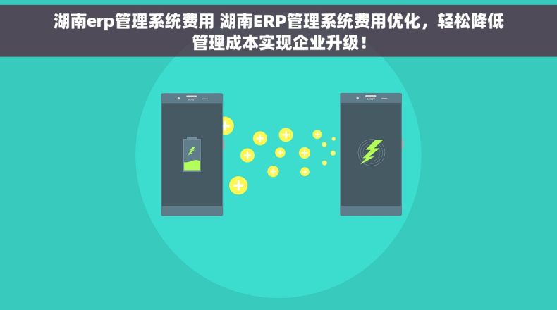 湖南erp管理系统费用 湖南ERP管理系统费用优化，轻松降低管理成本实现企业升级！