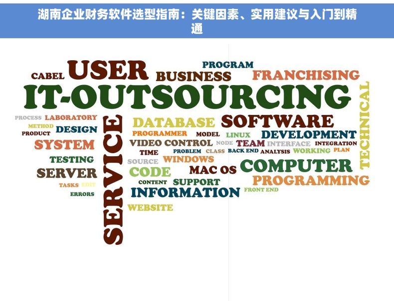 湖南企业财务软件选型指南：关键因素、实用建议与入门到精通