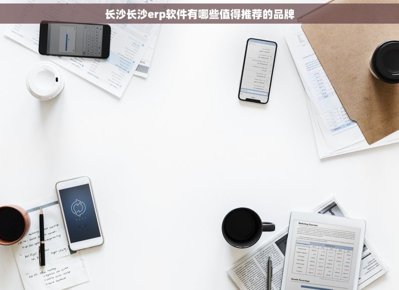 长沙长沙erp软件有哪些值得推荐的品牌
