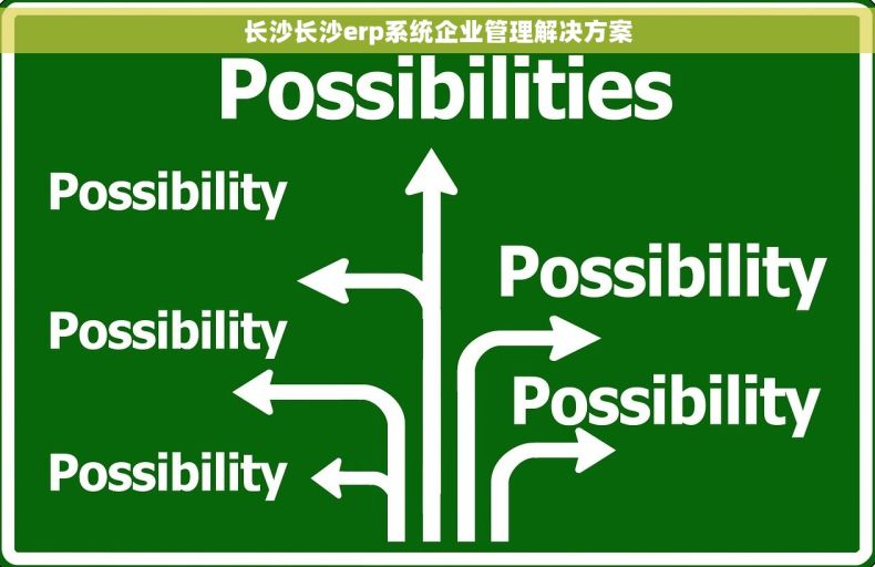 长沙长沙erp系统企业管理解决方案
