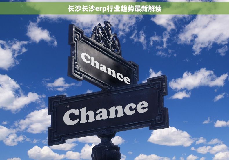 长沙长沙erp行业趋势最新解读