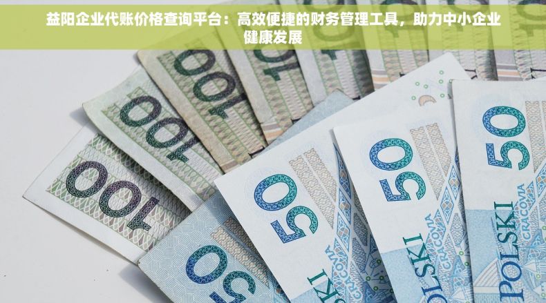 益阳企业代账价格查询平台：高效便捷的财务管理工具，助力中小企业健康发展