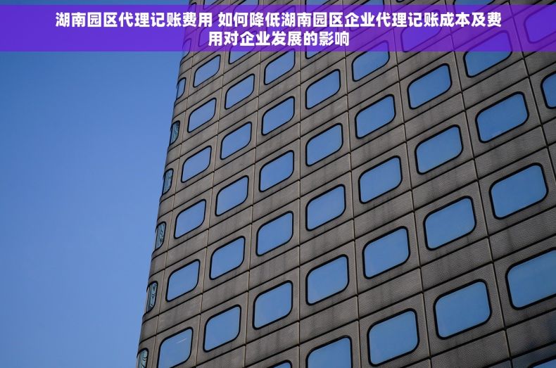湖南园区代理记账费用 如何降低湖南园区企业代理记账成本及费用对企业发展的影响