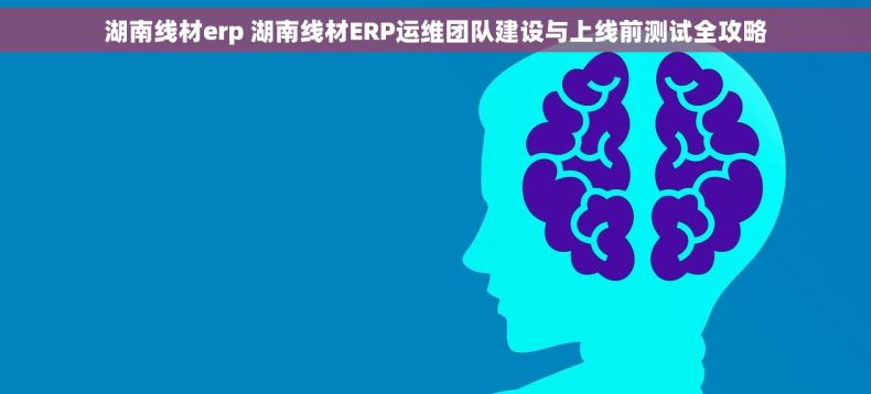 湖南线材erp 湖南线材ERP运维团队建设与上线前测试全攻略