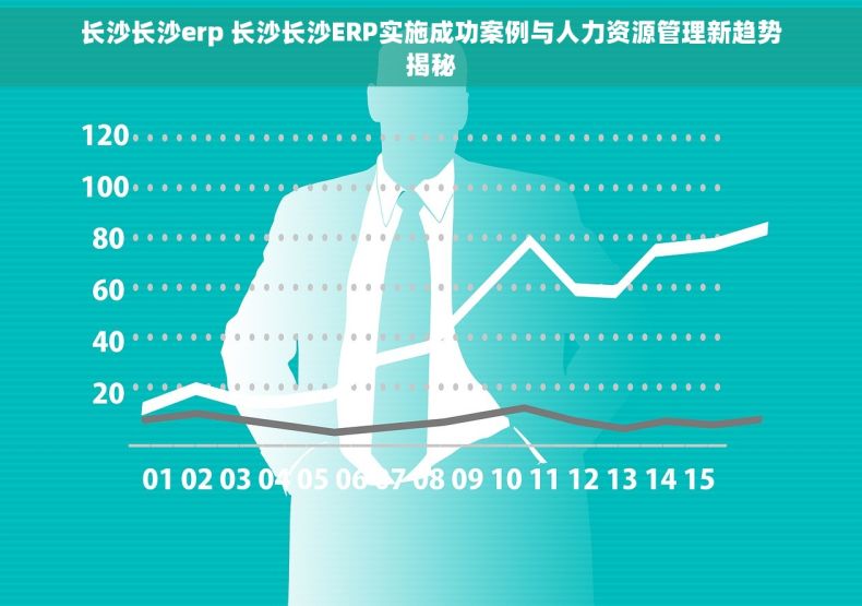长沙长沙erp 长沙长沙ERP实施成功案例与人力资源管理新趋势揭秘