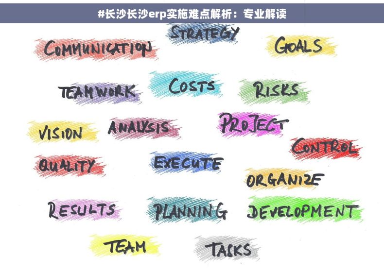 #长沙长沙erp实施难点解析：专业解读
