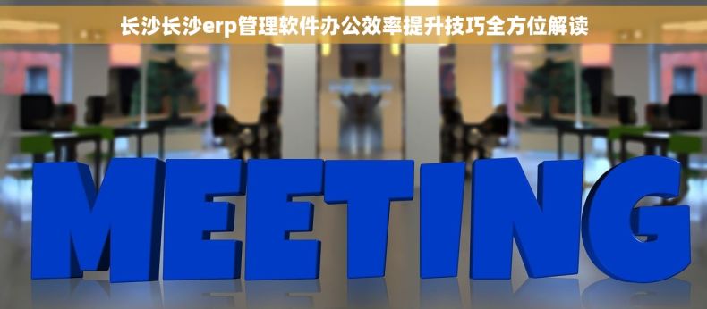 长沙长沙erp管理软件办公效率提升技巧全方位解读