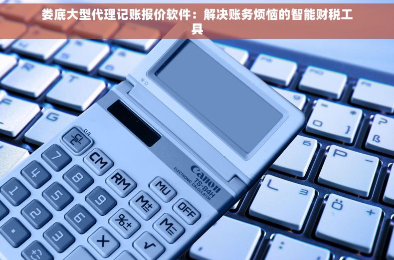 娄底大型代理记账报价软件：解决账务烦恼的智能财税工具