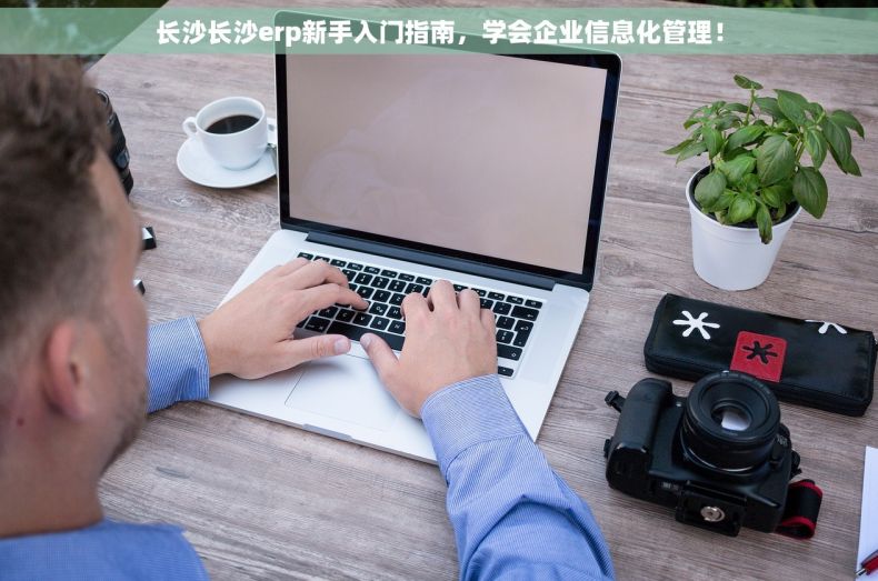 长沙长沙erp新手入门指南，学会企业信息化管理！