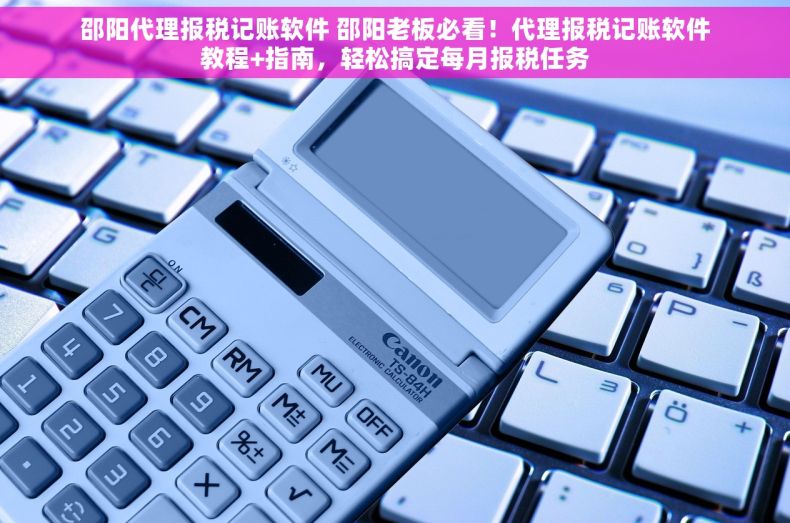 邵阳代理报税记账软件 邵阳老板必看！代理报税记账软件教程+指南，轻松搞定每月报税任务