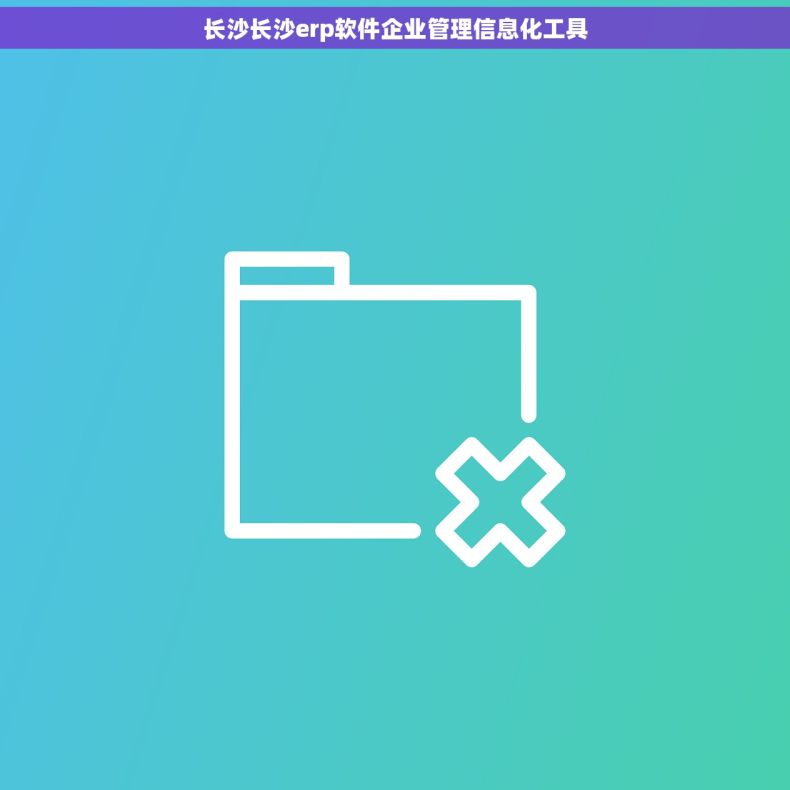 长沙长沙erp软件企业管理信息化工具