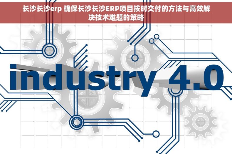 长沙长沙erp 确保长沙长沙ERP项目按时交付的方法与高效解决技术难题的策略