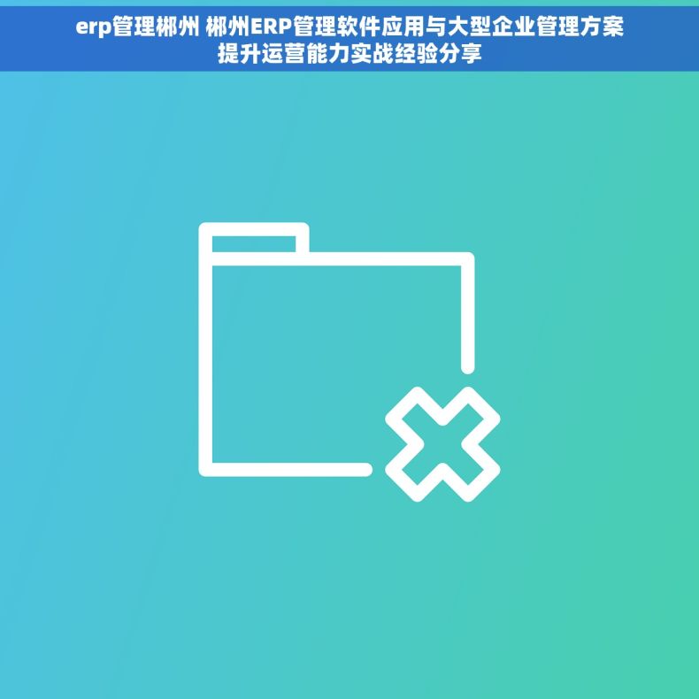 erp管理郴州 郴州ERP管理软件应用与大型企业管理方案提升运营能力实战经验分享