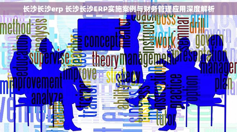 长沙长沙erp 长沙长沙ERP实施案例与财务管理应用深度解析