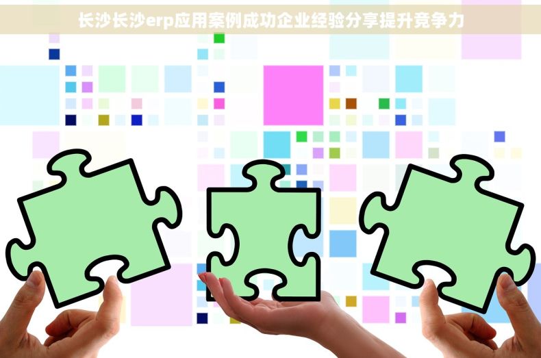 长沙长沙erp应用案例成功企业经验分享提升竞争力