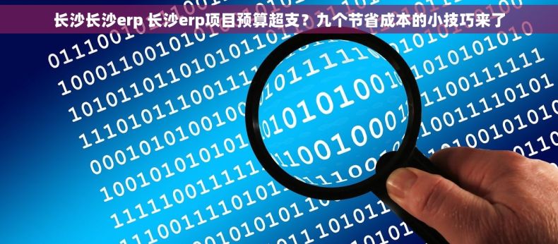 长沙长沙erp 长沙erp项目预算超支？九个节省成本的小技巧来了