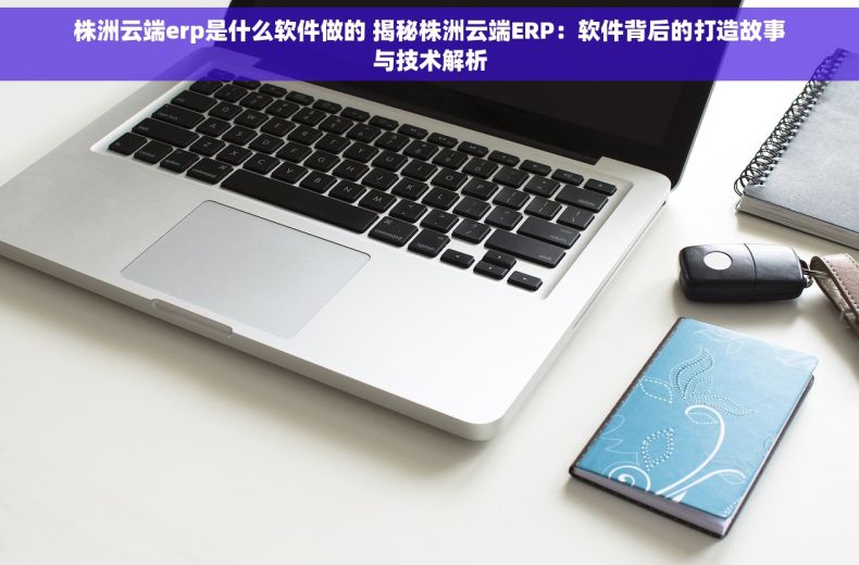 株洲云端erp是什么软件做的 揭秘株洲云端ERP：软件背后的打造故事与技术解析