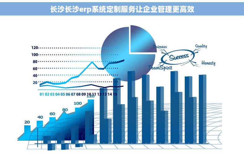 长沙长沙erp系统定制服务让企业管理更高效