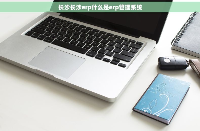 长沙长沙erp什么是erp管理系统